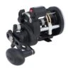 Abu Garcia Penn Rival 20 LW LC LineCounter