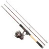 Abu Garcia Tormentor Spinning Combo