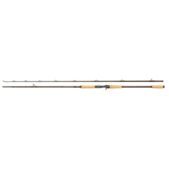 Abu Garcia Beast Pro Baitcasting Rod